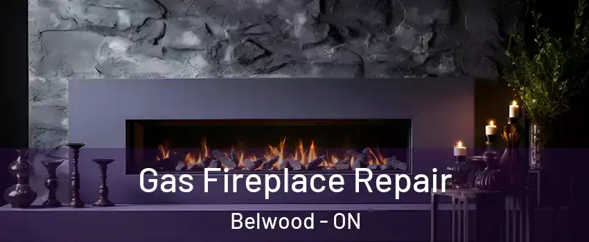  Gas Fireplace Repair Belwood - ON