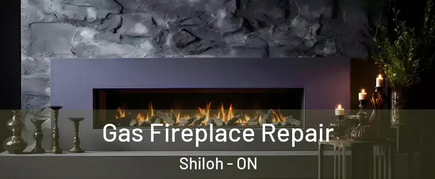 Gas Fireplace Repair Shiloh - ON