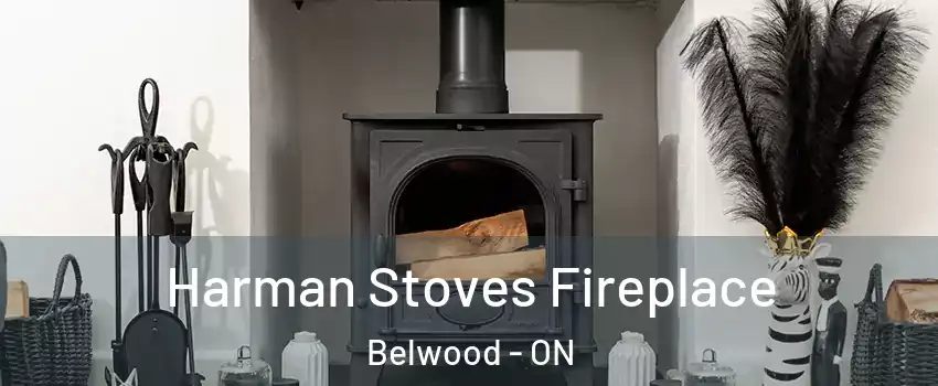  Harman Stoves Fireplace Belwood - ON