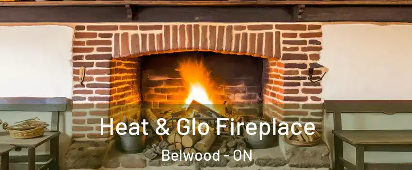  Heat & Glo Fireplace Belwood - ON