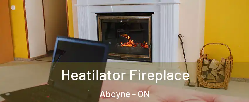  Heatilator Fireplace Aboyne - ON