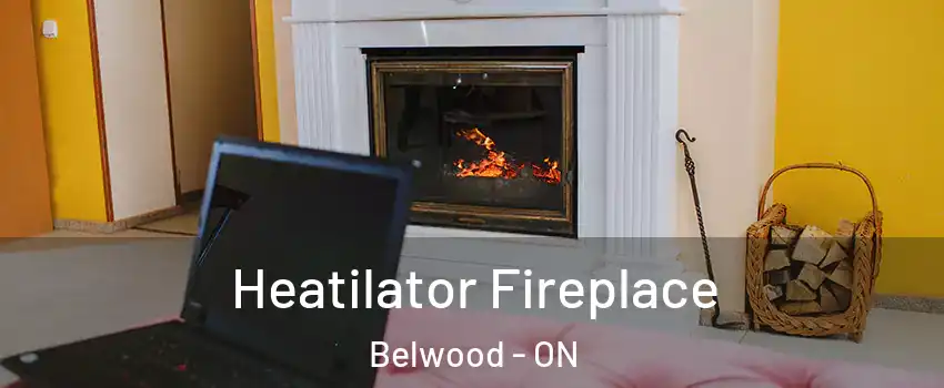  Heatilator Fireplace Belwood - ON
