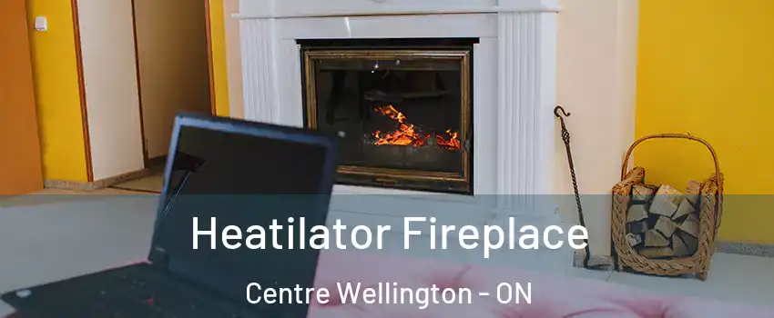  Heatilator Fireplace Centre Wellington - ON