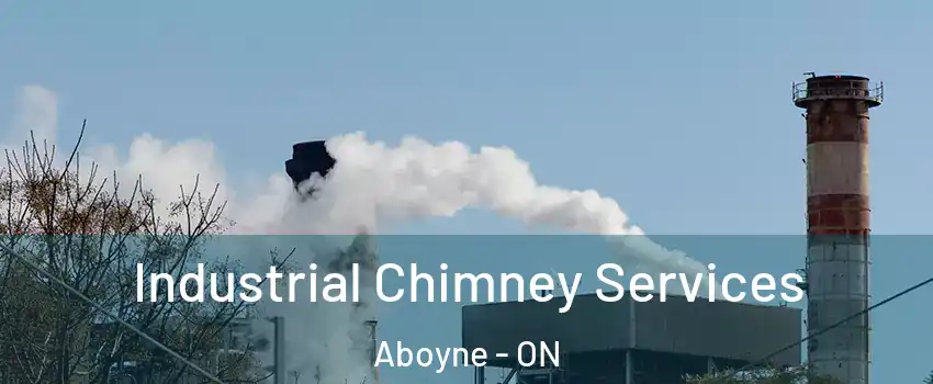  Industrial Chimney Services Aboyne - ON