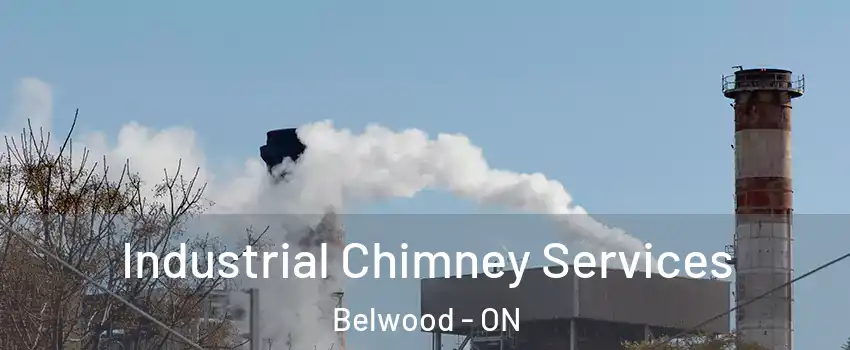  Industrial Chimney Services Belwood - ON