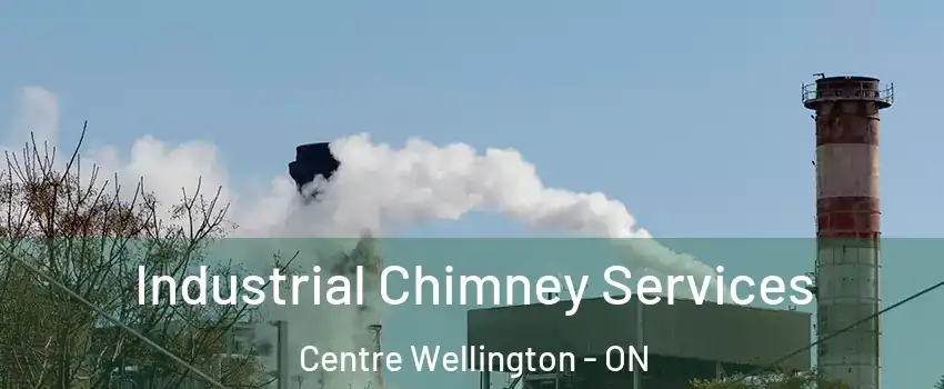  Industrial Chimney Services Centre Wellington - ON