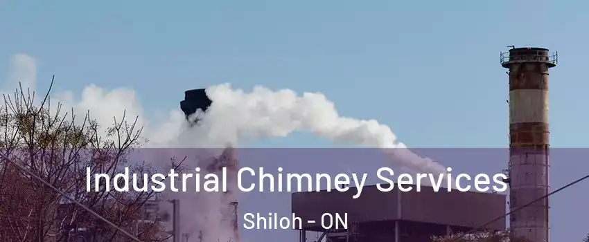  Industrial Chimney Services Shiloh - ON