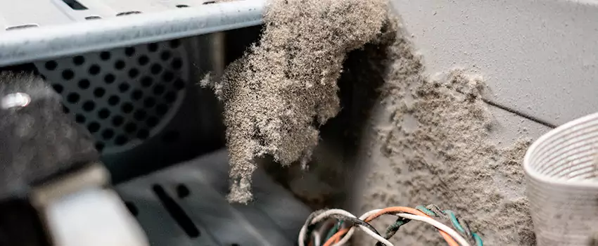 Clogged Dryer Vent Lint Cleaning in Centre Wellington, Ontario
