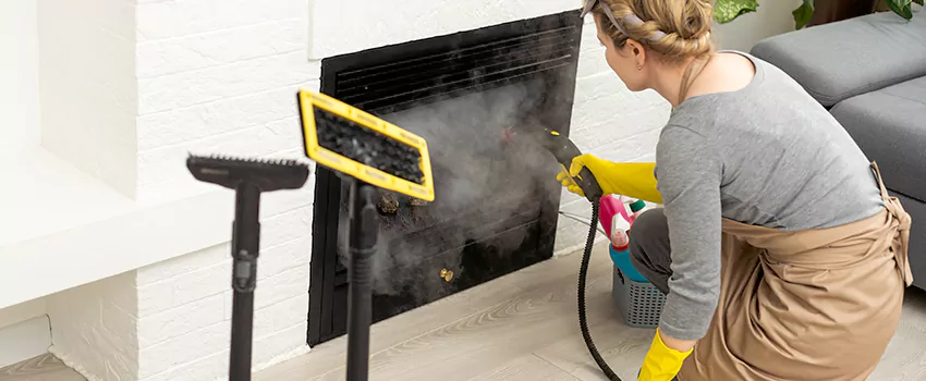 Fireplace Doors Cleaning in Centre Wellington, Ontario