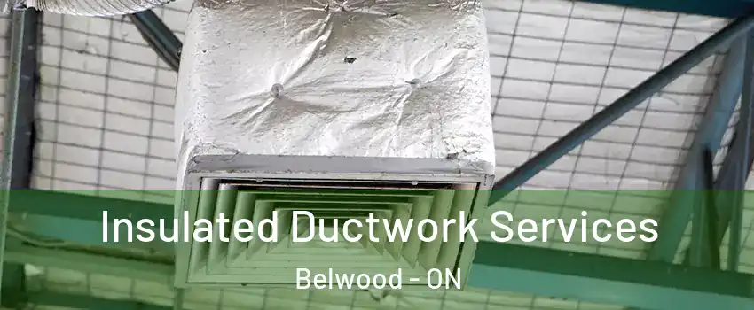  Insulated Ductwork Services Belwood - ON
