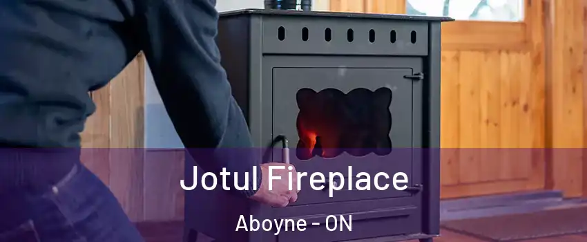  Jotul Fireplace Aboyne - ON