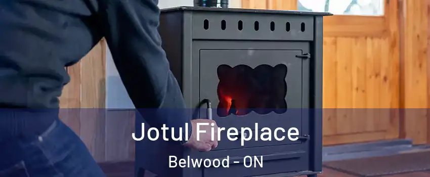  Jotul Fireplace Belwood - ON