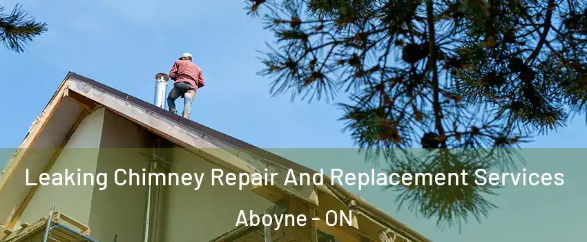  Leaking Chimney Repair And Replacement Services Aboyne - ON