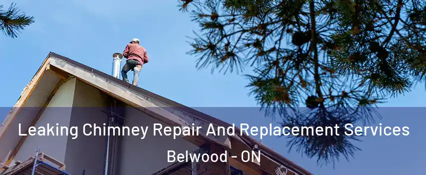 Leaking Chimney Repair And Replacement Services Belwood - ON