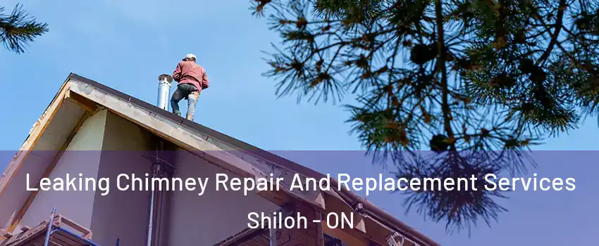  Leaking Chimney Repair And Replacement Services Shiloh - ON