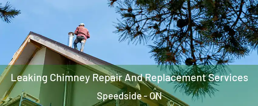  Leaking Chimney Repair And Replacement Services Speedside - ON