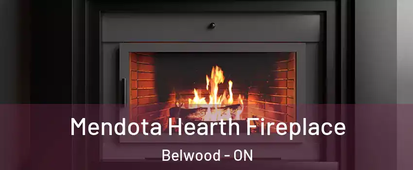 Mendota Hearth Fireplace Belwood - ON