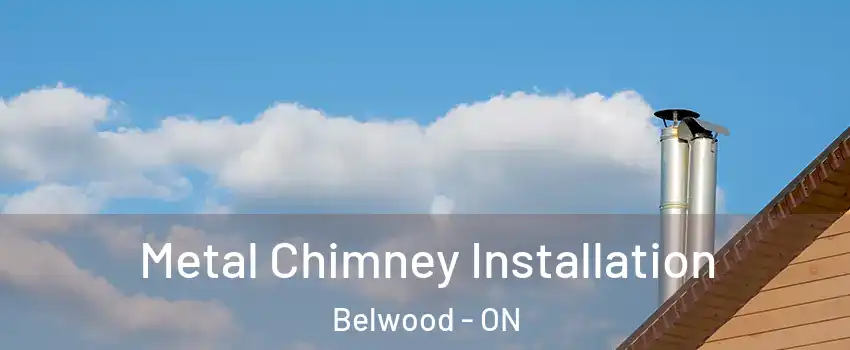  Metal Chimney Installation Belwood - ON