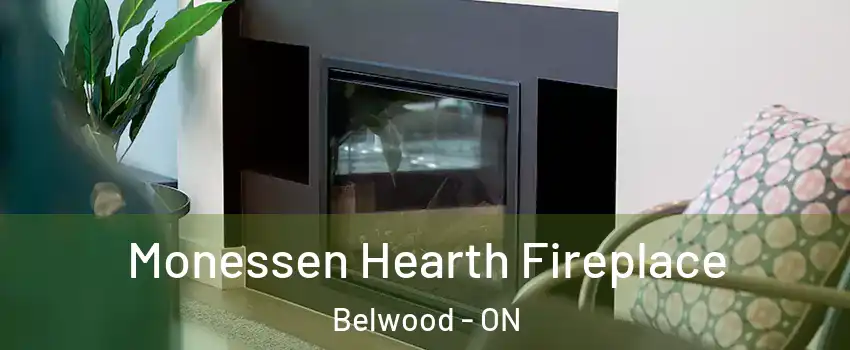  Monessen Hearth Fireplace Belwood - ON