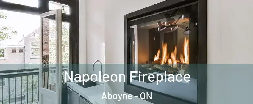  Napoleon Fireplace Aboyne - ON