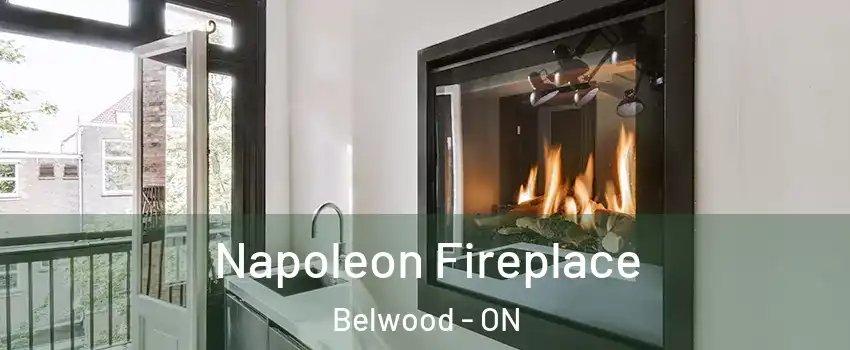  Napoleon Fireplace Belwood - ON