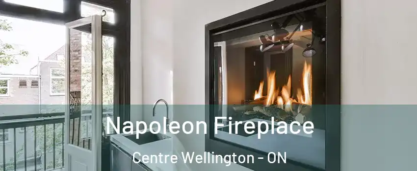  Napoleon Fireplace Centre Wellington - ON