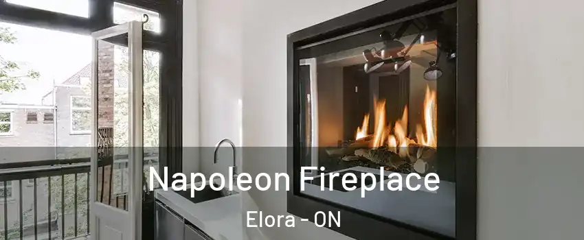  Napoleon Fireplace Elora - ON