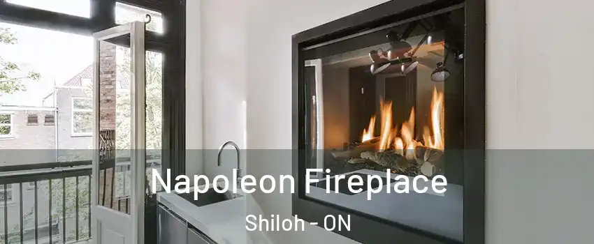  Napoleon Fireplace Shiloh - ON
