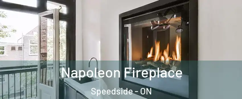  Napoleon Fireplace Speedside - ON