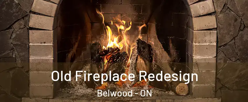  Old Fireplace Redesign Belwood - ON