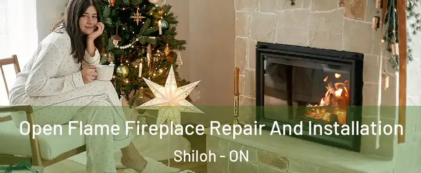 Open Flame Fireplace Repair And Installation Shiloh - ON