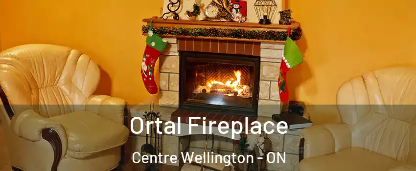  Ortal Fireplace Centre Wellington - ON