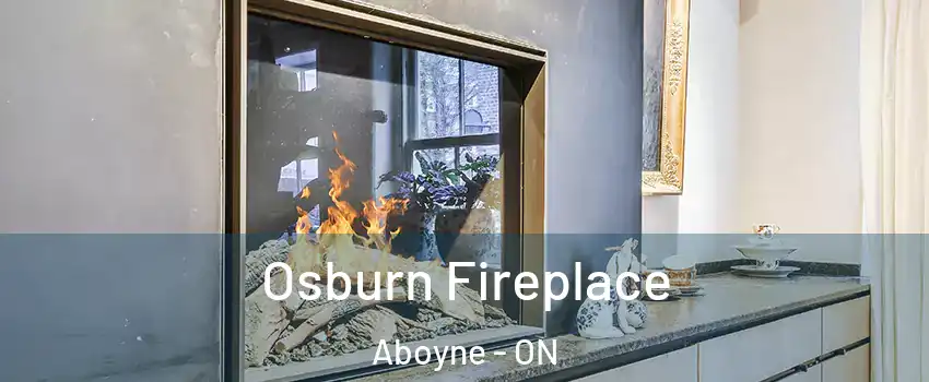  Osburn Fireplace Aboyne - ON