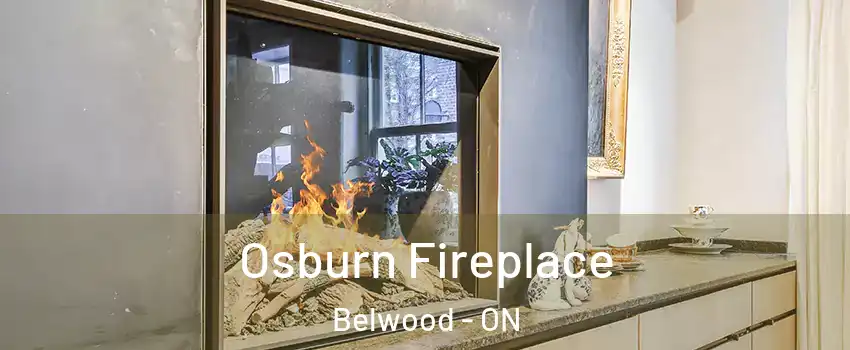  Osburn Fireplace Belwood - ON