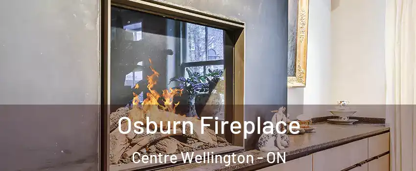  Osburn Fireplace Centre Wellington - ON