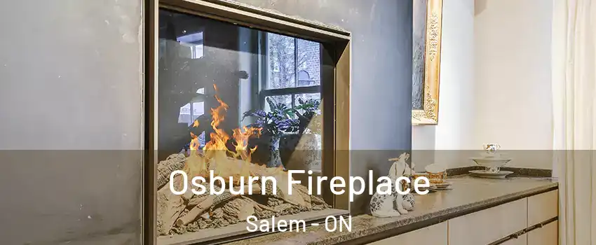  Osburn Fireplace Salem - ON