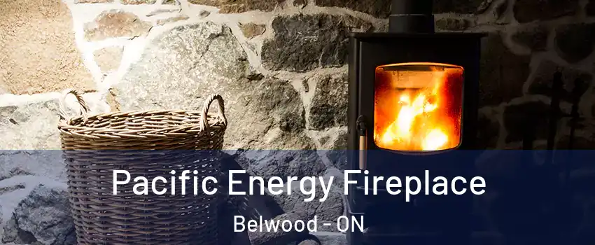  Pacific Energy Fireplace Belwood - ON