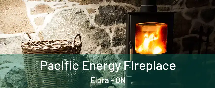  Pacific Energy Fireplace Elora - ON