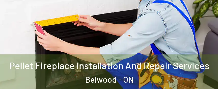  Pellet Fireplace Installation And Repair Services Belwood - ON