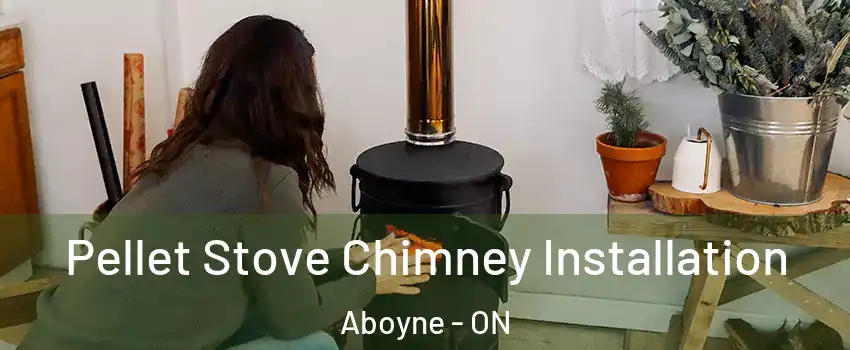  Pellet Stove Chimney Installation Aboyne - ON