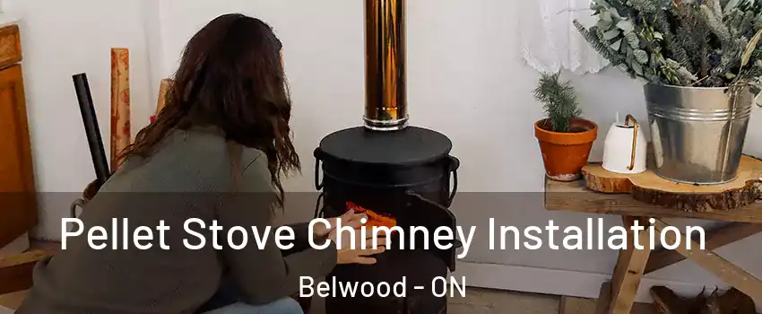  Pellet Stove Chimney Installation Belwood - ON
