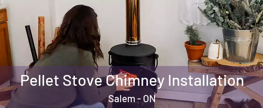  Pellet Stove Chimney Installation Salem - ON