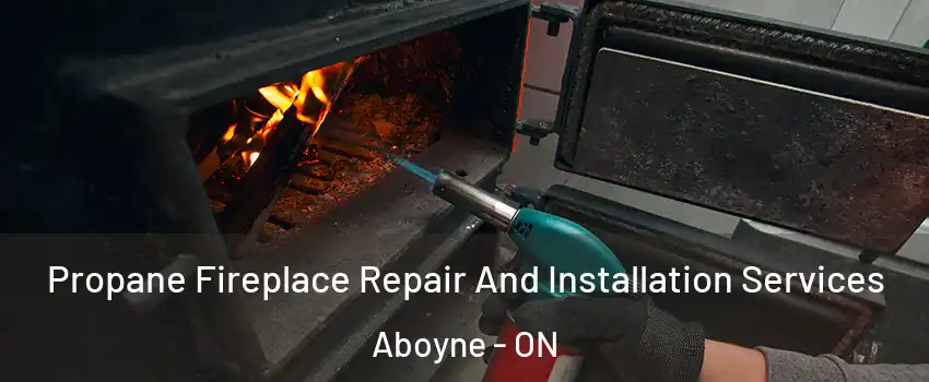  Propane Fireplace Repair And Installation Services Aboyne - ON