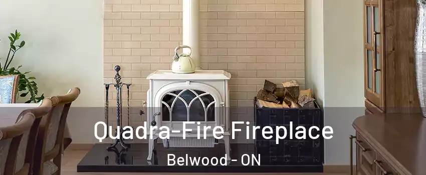  Quadra-Fire Fireplace Belwood - ON