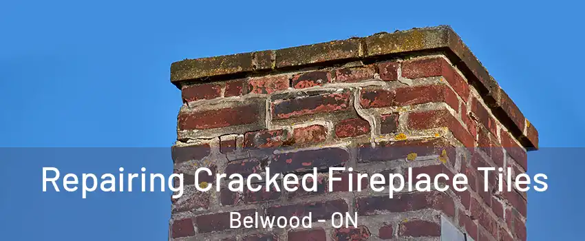  Repairing Cracked Fireplace Tiles Belwood - ON