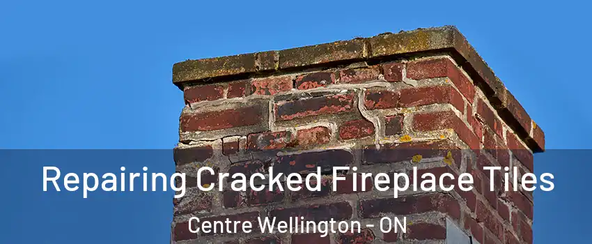 Repairing Cracked Fireplace Tiles Centre Wellington - ON