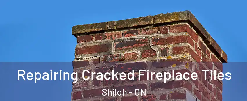  Repairing Cracked Fireplace Tiles Shiloh - ON