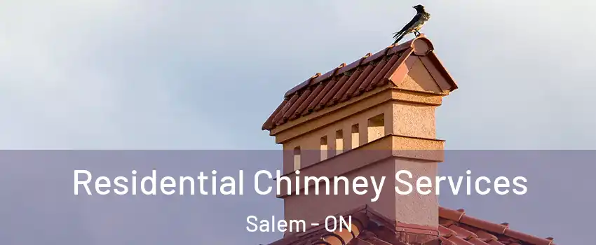 Residential Chimney Services Salem - ON