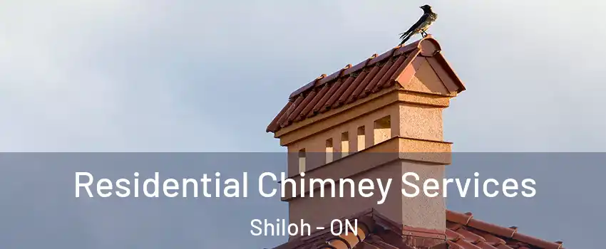  Residential Chimney Services Shiloh - ON