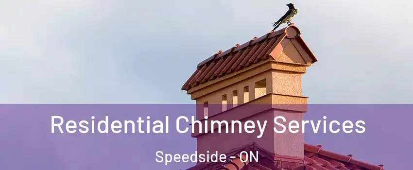  Residential Chimney Services Speedside - ON